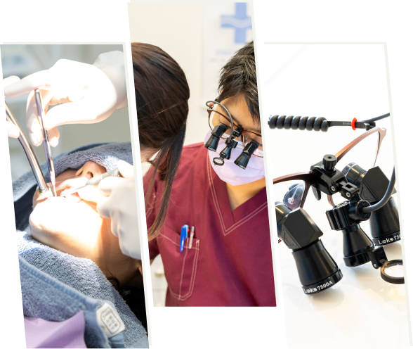 マイクロレベルに迫る高倍率の拡大鏡を使用